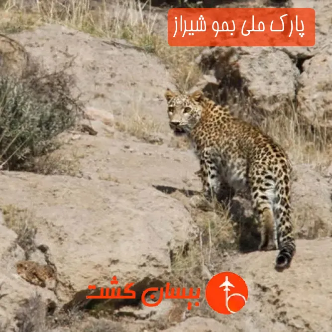 پارک ملی بمو شیراز