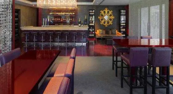 فضای سرگرمی هتل رادیسن بلو - دبی مدیا سیتی   50944