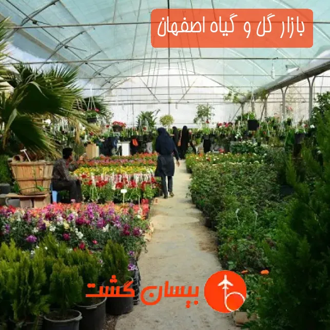 بازار گل و گیاه اصفهان