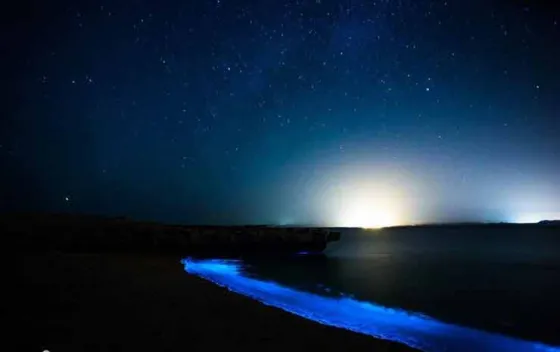 تصویر 152502 ساحل نقره ای قشم