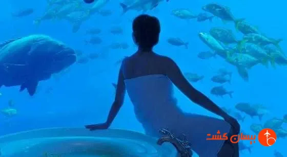 فضای اتاق های هتل آتلانتیس دبی - تصویر 19