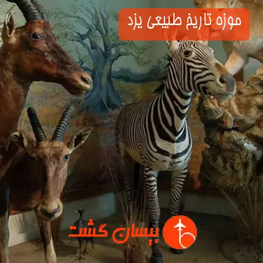 موزه تاریخ طبیعی یزد 