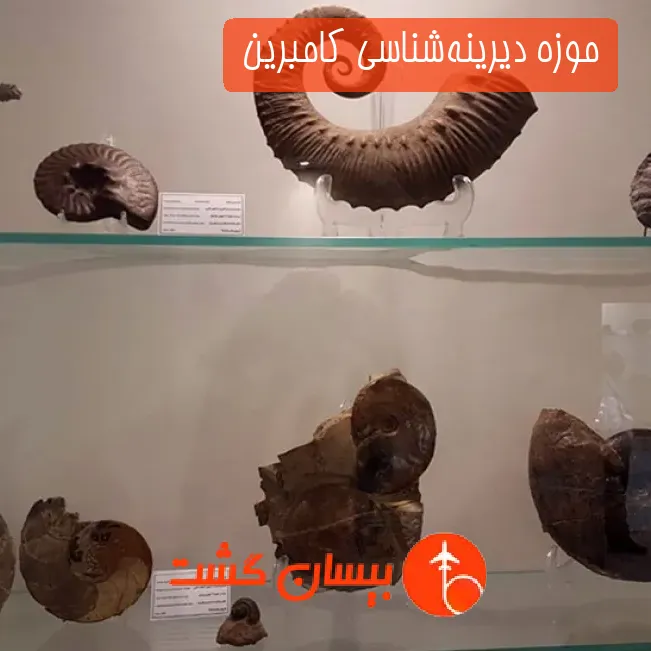 موزه دیرینه‌شناسی کامبرین 