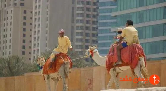هتل وینتیج گرند دبی - تصویر 69