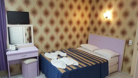 تصویر 154233  هتل آنادلو استانبول 