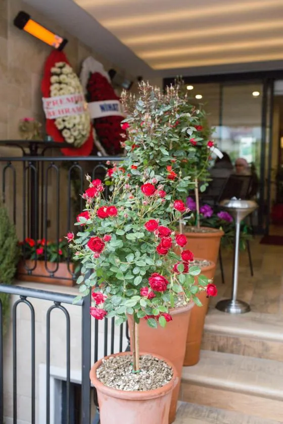 تصویر 154316  هتل وایت اورینت استانبول 