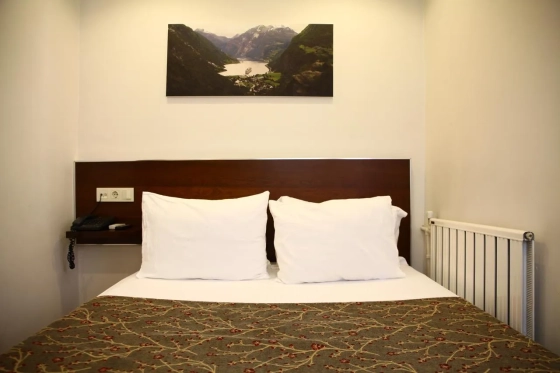 تصویر 156191  هتل  بویوکادا کامفورت استانبول 