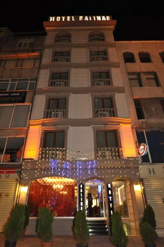 تصویر 156851 هتل سالیناس استانبول