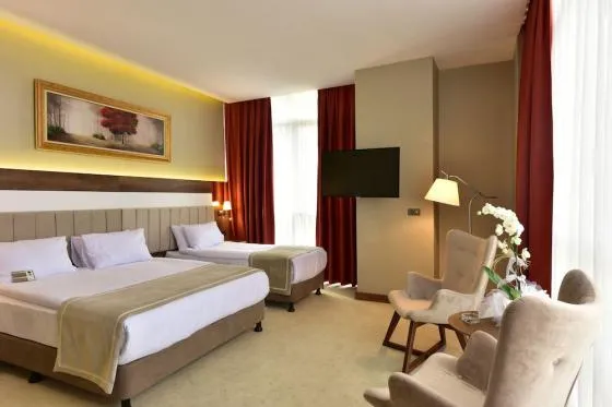 تصویر 158761  هتل وسپیا استانبول