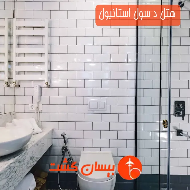 هتل د سول استانبول