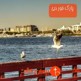 پارک خور دبی