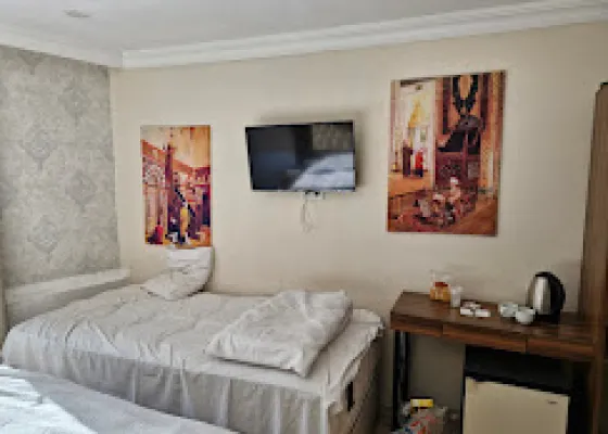 تصویر 195599 فضای اتاق های هتل د لیلا استانبول 