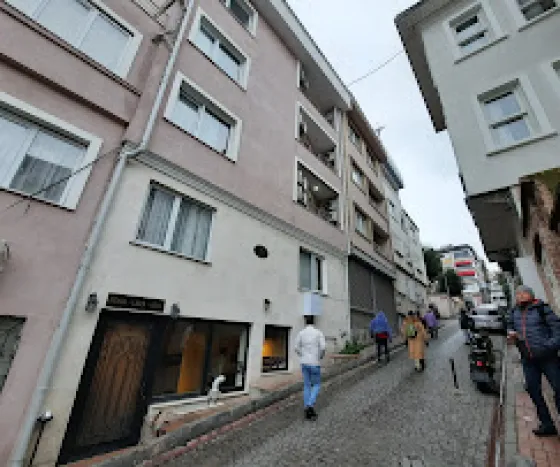 تصویر 195598 نمای بیرونی هتل د لیلا استانبول 