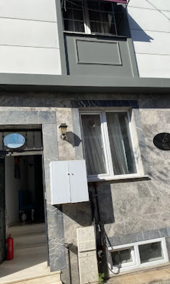 تصویر 195597 نمای بیرونی هتل د لیلا استانبول 