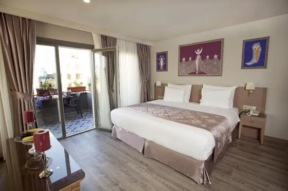 تصویر 160363  هتل تکسیمیست استانبول 