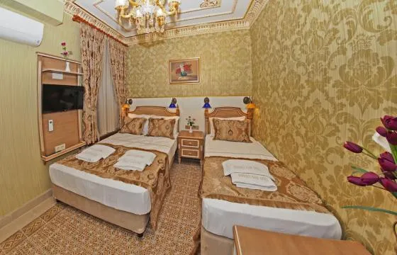 هتل سیرکسی گار استانبول - تصویر 10