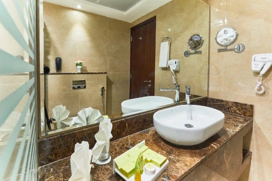 تصویر 163053 فضای اتاق های هتل رز پلازا البرشا دبی 