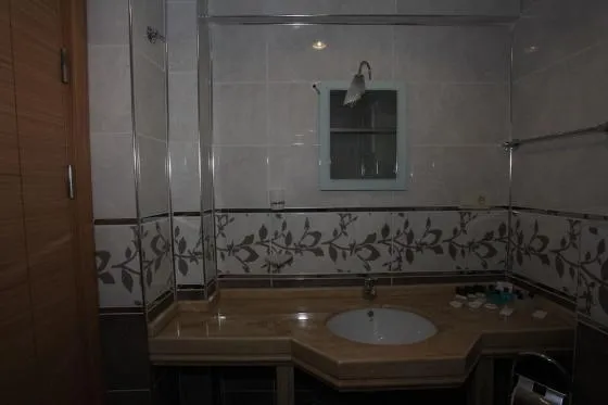 تصویر 163261 هتل رییان استانبول