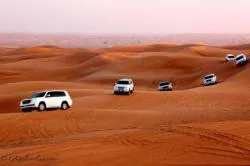 سافاری لند (سافاری پارک) دبی - Dubai Safari Park