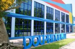 دلفیناریوم دبی - Dubai Dolphinarium