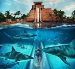 پارک آبی آتلانتیس دبی - Aquaventure Waterpark