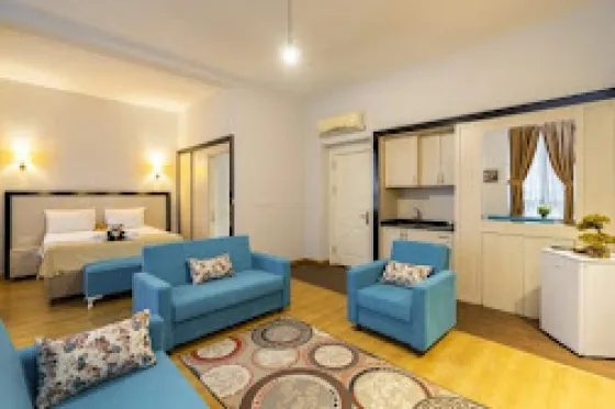 تصویر 188850 هتل پاندا رزیدنس دلوکس تکسیم استانبول