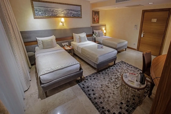 تصویر 165579  هتل نووی افندی استانبول 