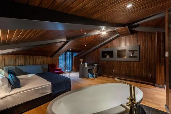 تصویر 165620 فضای اتاق های هتل نوا پلازا پرا استانبول 