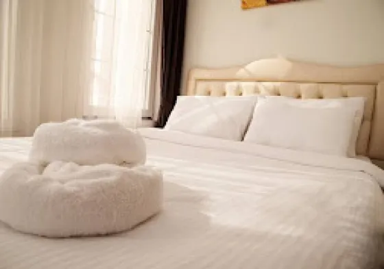 تصویر 188765  هتل  مورانو استانبول