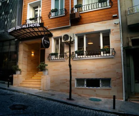 تصویر 166677  هتل مولتون شیشلی ام ال اس استانبول 