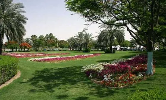 تصویر 52510  پارک الوصل دبی 