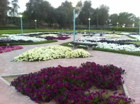 تصویر 52517  پارک مشرف دبی 