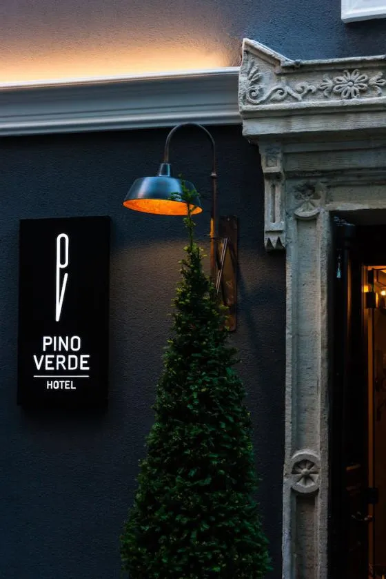 تصویر 170398  هتل پینو ورد استانبول 