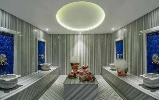 تصویر 172055  هتل هالیدی این توزلا بی استانبول 