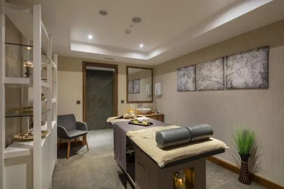 تصویر 172057  هتل هالیدی این توزلا بی استانبول 