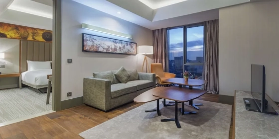 تصویر 172281  هتل هیلتون گاردن این اتاتورک ایرپرت استانبول