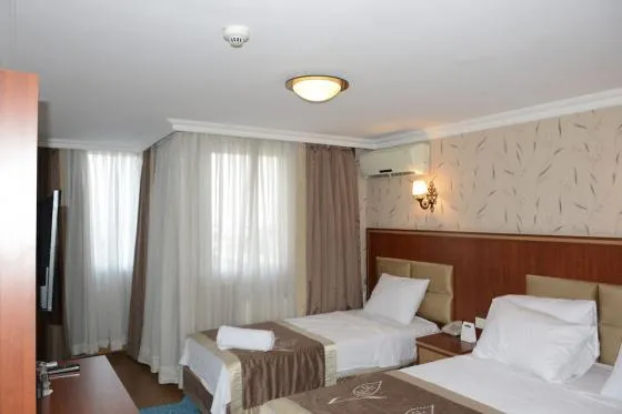 تصویر 172338  هتل هرمانوس استانبول