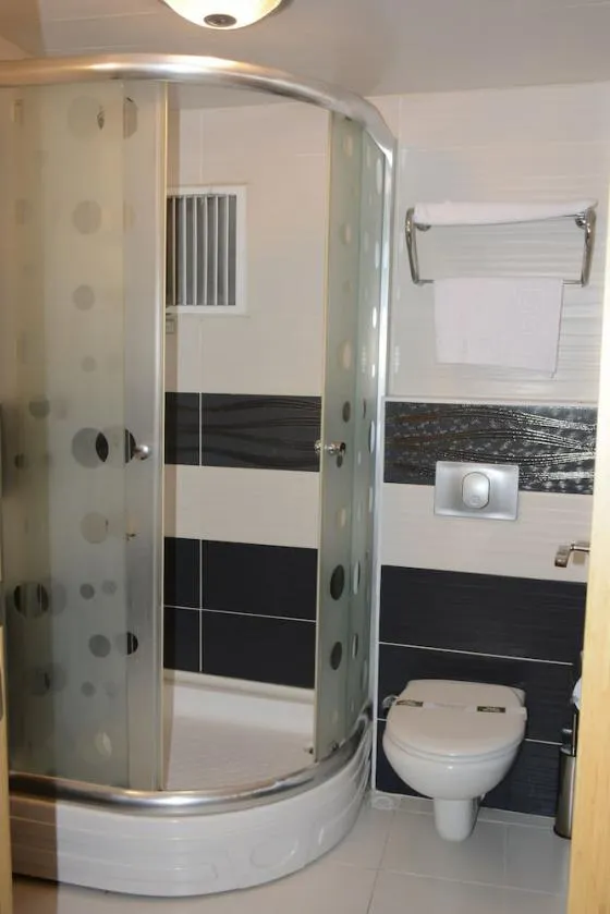 تصویر 172341  هتل هرمانوس استانبول 