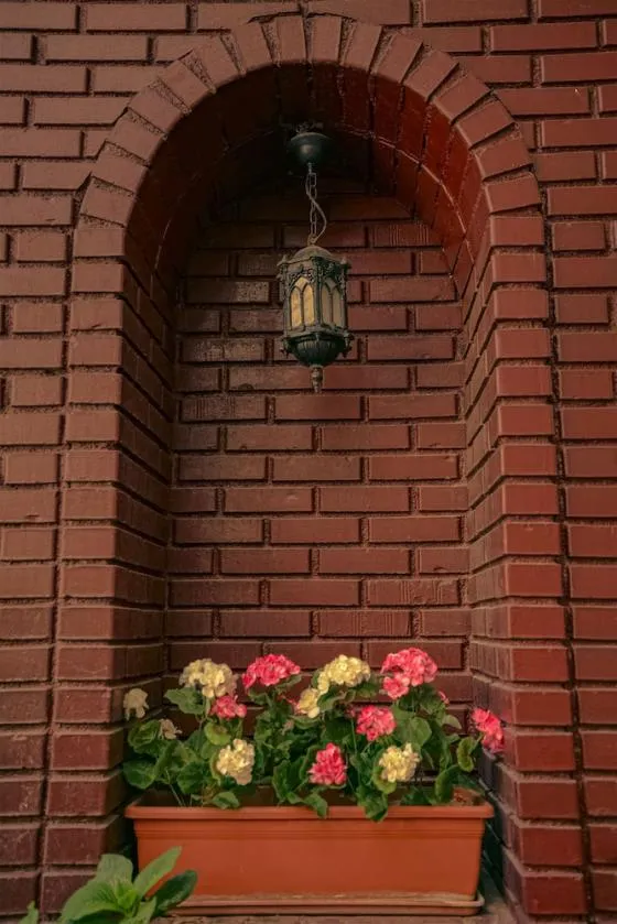 تصویر 173091 هتل آویسنا استانبول