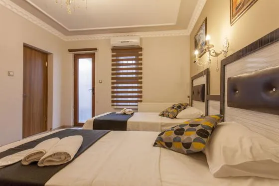 تصویر 173254 هتل آسیا ورد استانبول