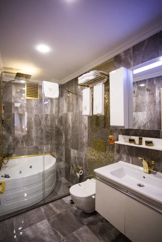 تصویر 174597  هتل بیاند استایل استانبول