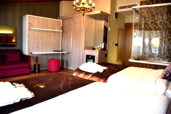 تصویر 174600  هتل بیاند استایل استانبول 