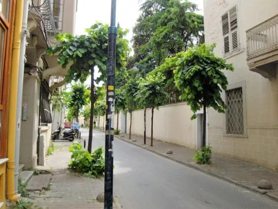 تصویر 175714 هتل چارمه استانبول