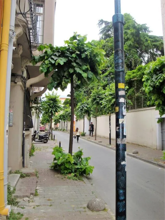 هتل چارمه استانبول - تصویر 5