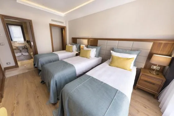 تصویر 177529  هتل ایندلیس آرت تکسیم استانبول 