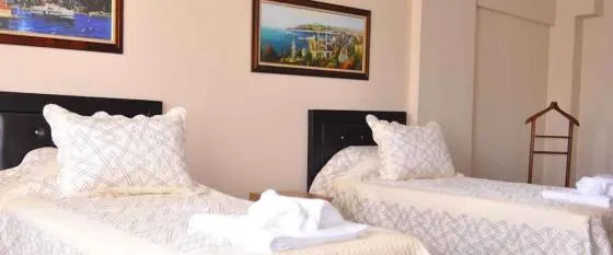 تصویر 177606  هتل امسا مالتپ استانبول 