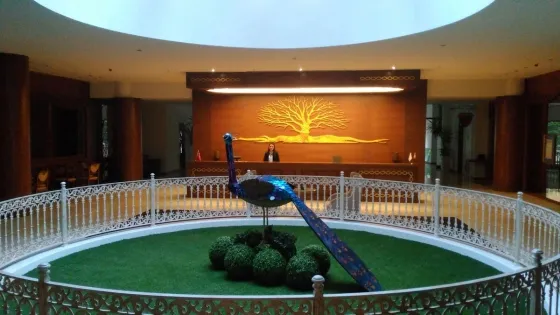 تصویر 187173  هتل الیتز سوئیت استانبول 