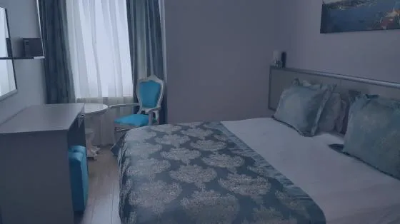 تصویر 178053 هتل الیت مارمارا استانبول