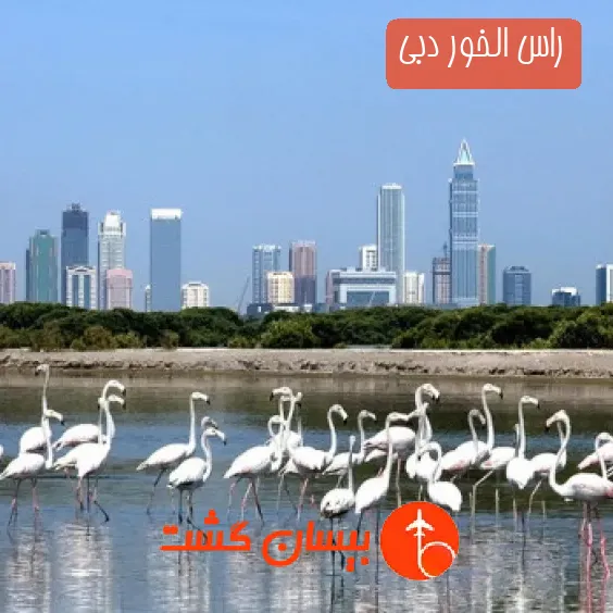 راس الخور دبی