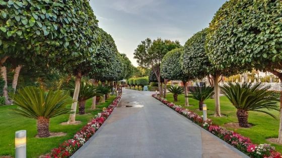 تصویر 182308  هتل کالیستا لاکچری ریزورت آنتالیا